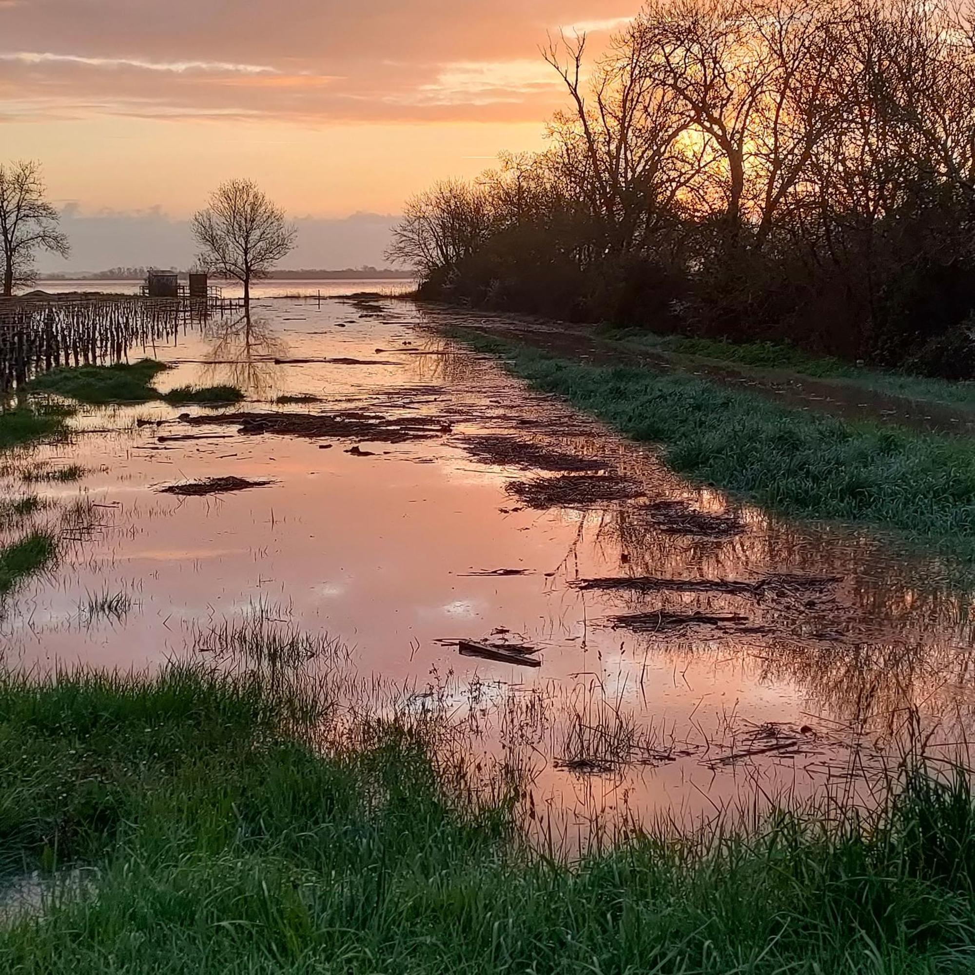 ポーイヤック Casa Tranquila Cerca El Estuarioヴィラ エクステリア 写真
